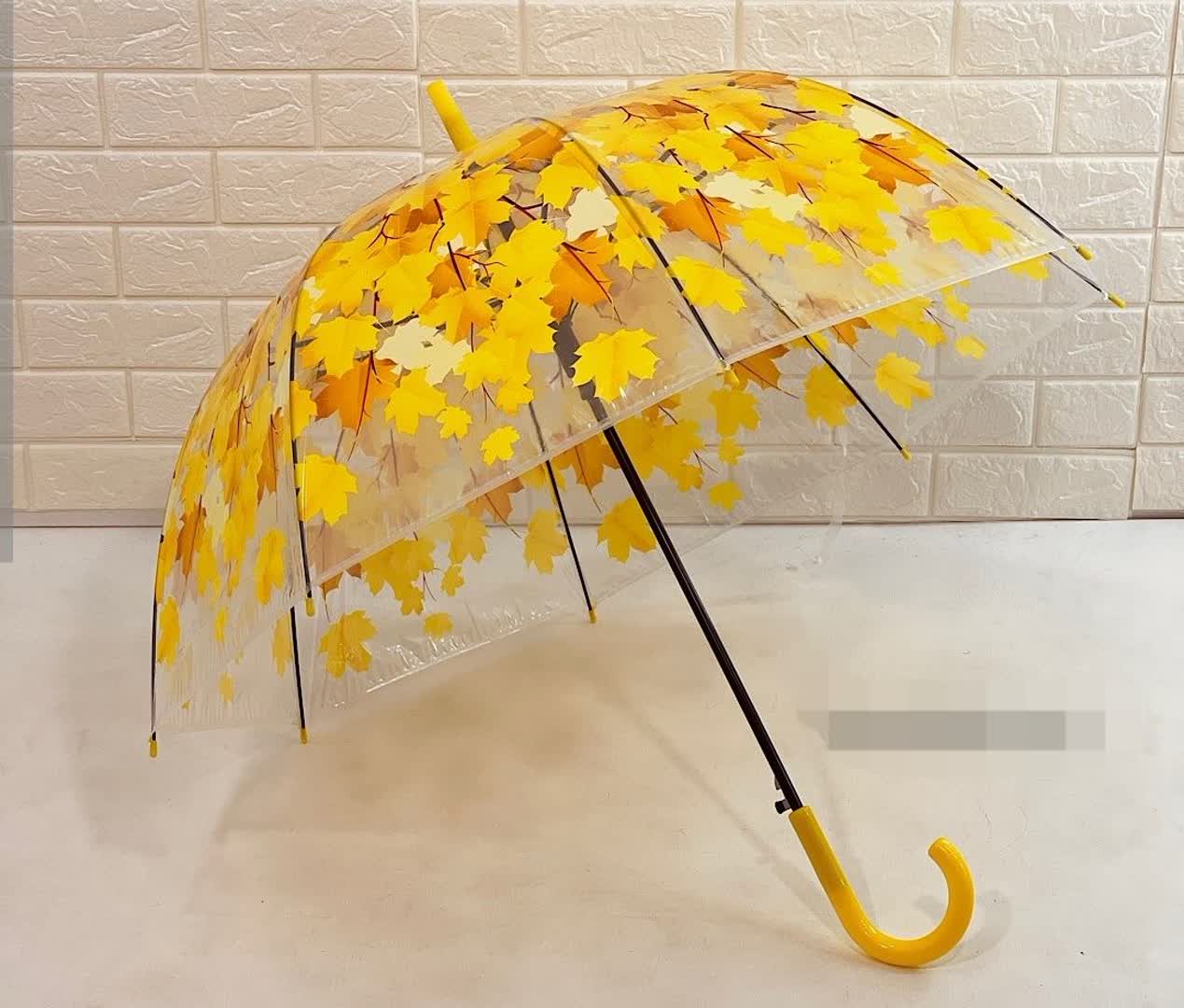 چترپاییزی
