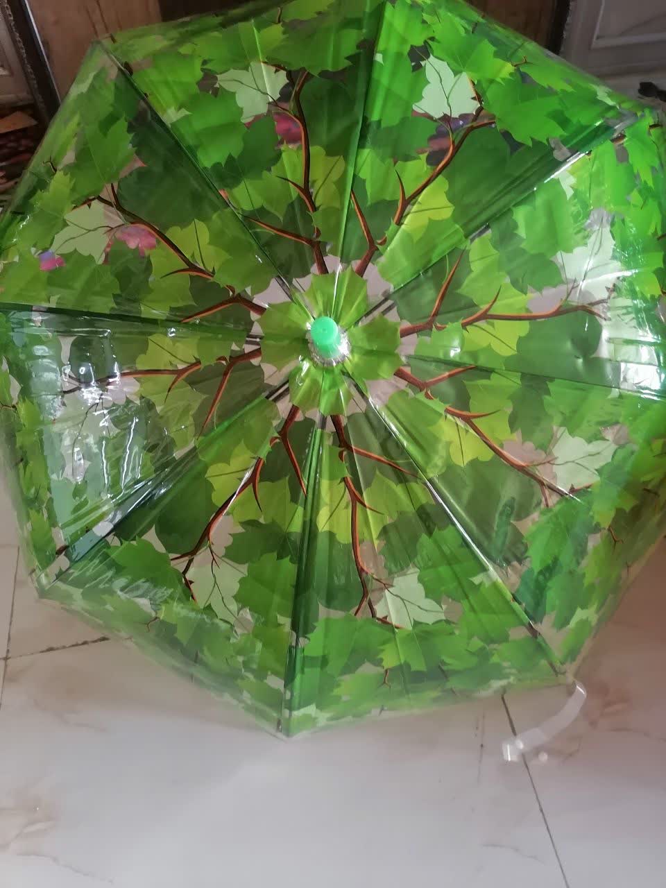 چترپاییزی