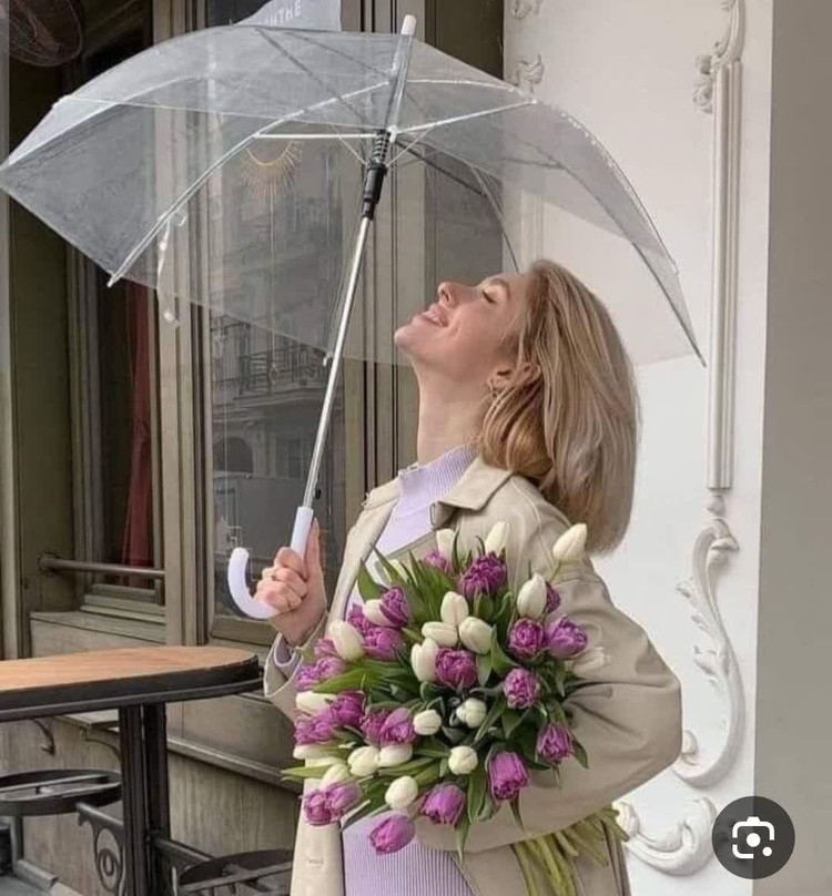 چتر