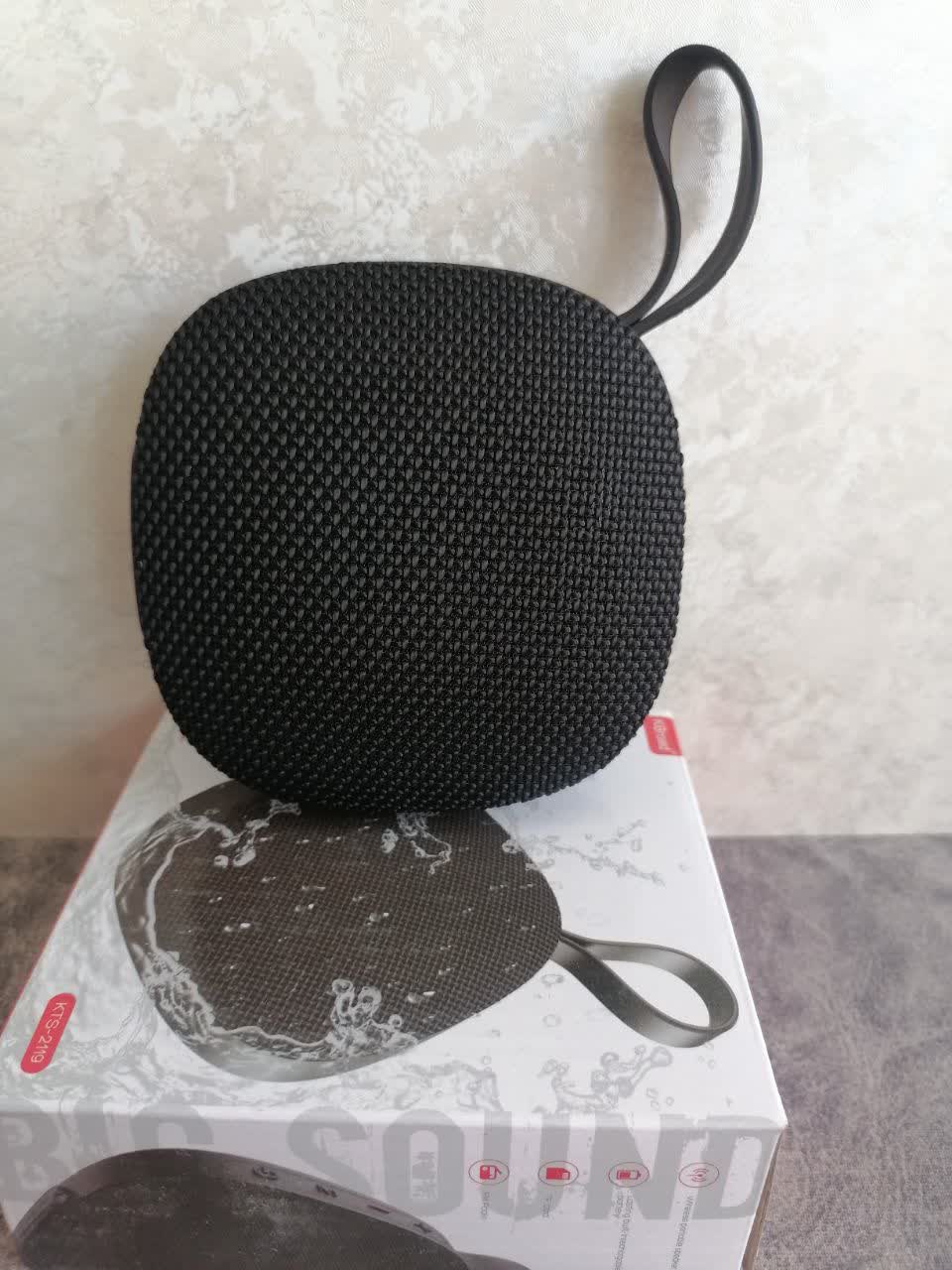 اسپیکرشارژی